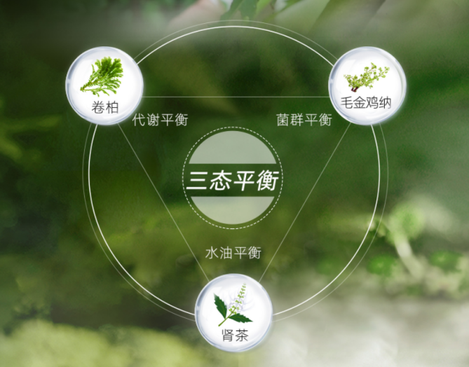 舒霖頭皮&ldquo;三態平衡&rdquo;理念成為中國頭皮護理行業標桿